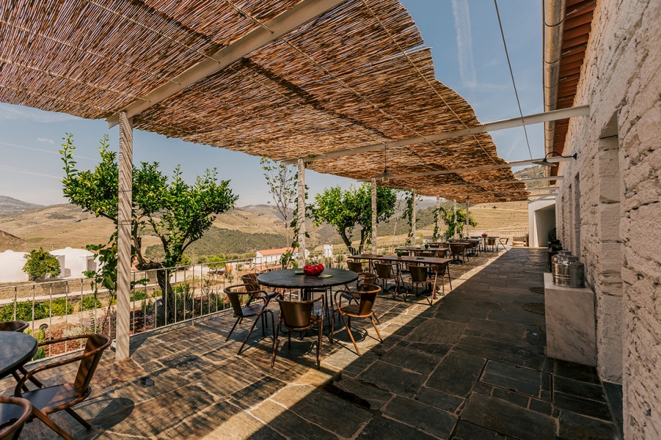 Rota da Lampreia sobe o rio Douro até à Cantina de Ventozelo