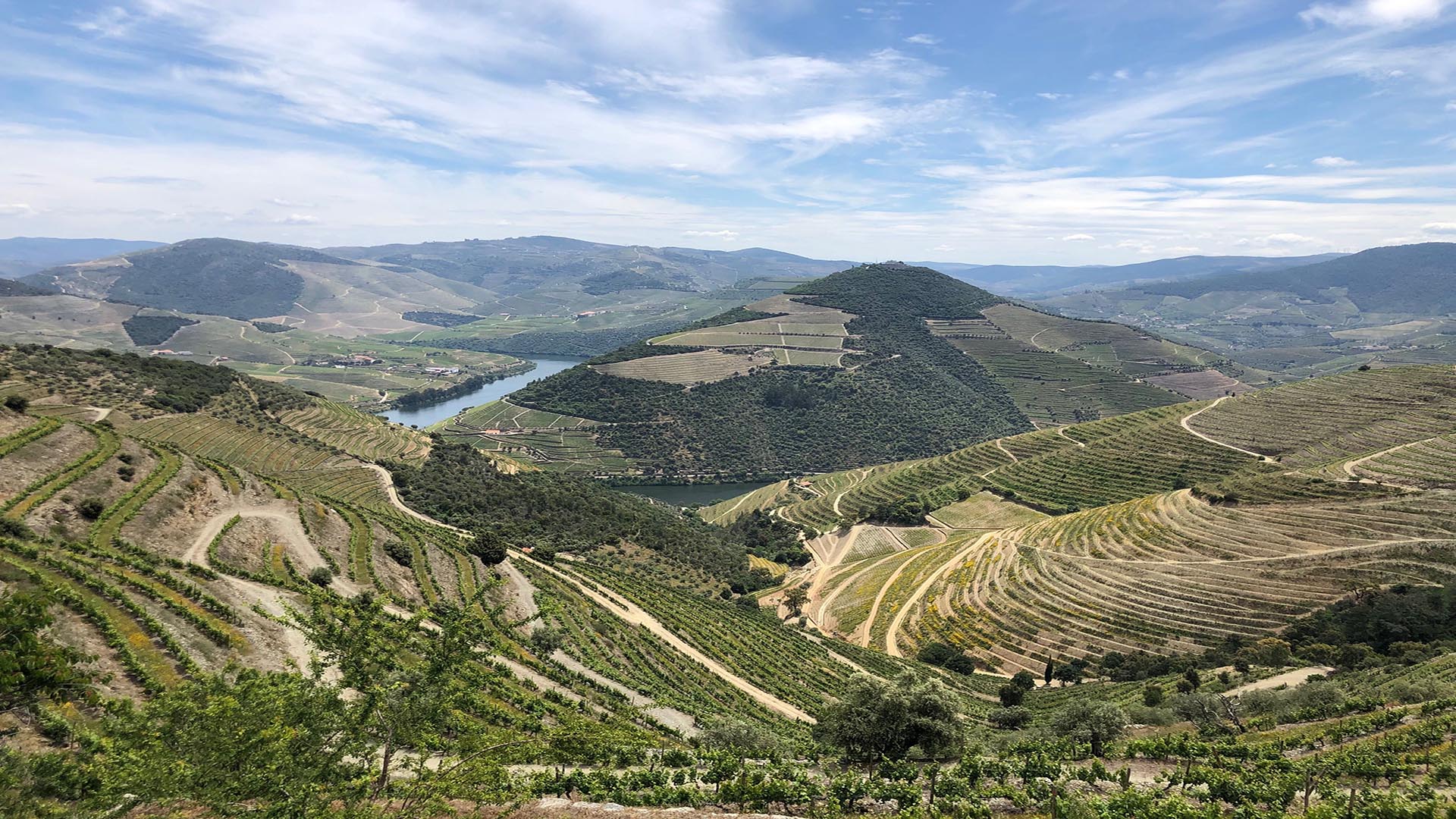 Caminhada em Lamelas - Quinta De La Rosa