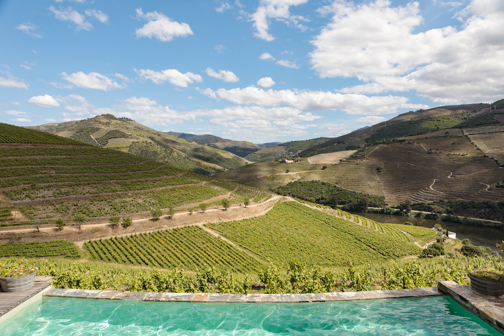 Quinta no Douro destacada nos Prémios de “Melhor Enoturismo de Portugal”